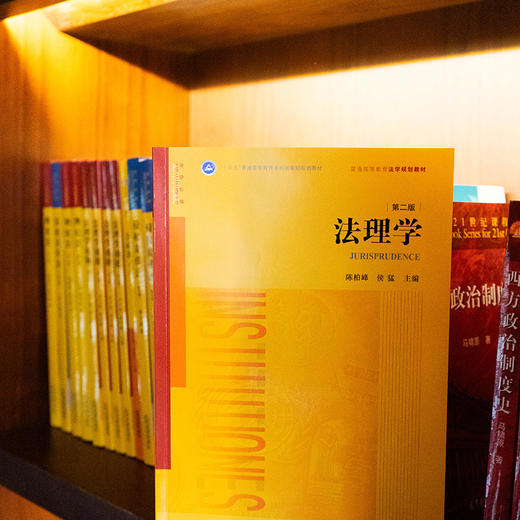 法理学（第二版） 陈柏峰 侯猛 主编 法律出版社 商品图1
