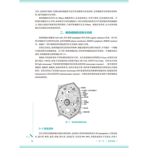 药用植物学 第4四版 严铸云 张水利 主编 十五五规划教材 全国高等学校中医药教育教材 供中药学 药学等专业用 人民卫生出版社 商品图4