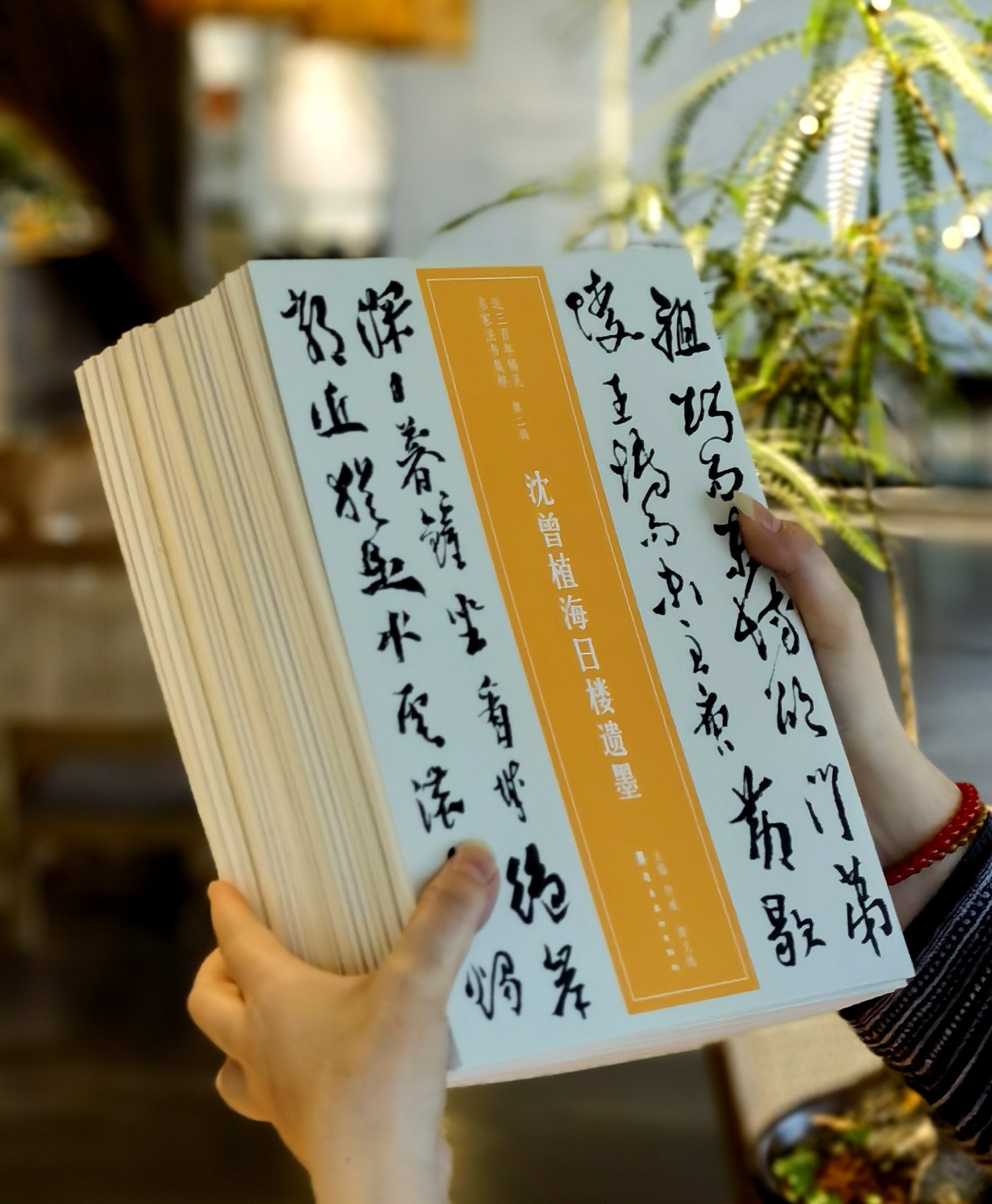 【许愿贴，绝版碑帖低至9.9元一册】

《近三百年稀见名家法书集粹》由仲威、谭文选主编，岭南美术出版社2018年出版。收录近三百年名家稀见法书，采用影印方式出版，不少底本为首次刊行。丛书采用影印的方式
