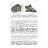口腔预防医学 配增值 任彦萍 王春风 主编 高等卫生职业教育十四五创新教材 供口腔医学专业用 9787117402019人民卫生出版社 商品缩略图4