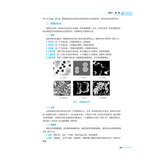药用微生物学基础 第5五版 陈明琪 罗翀 十五五规划教材 高等职业教育药学类与食品药品类专业第五轮教材 中国医药科技出版社 商品图4