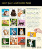 【2027年日历】Cat Page-A-Day Gallery Calendar 2027: A Delightful Gallery of Cats for Your Desktop / 猫每日画廊 商品缩略图1