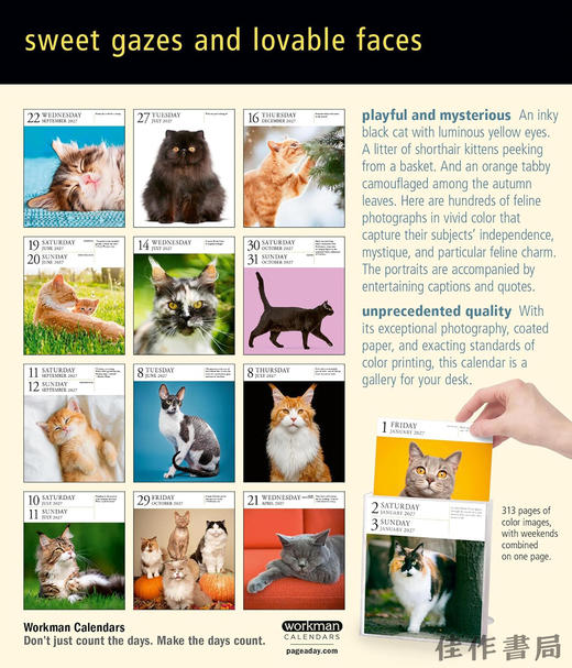 【2027年日历】Cat Page-A-Day Gallery Calendar 2027: A Delightful Gallery of Cats for Your Desktop / 猫每日画廊 商品图1