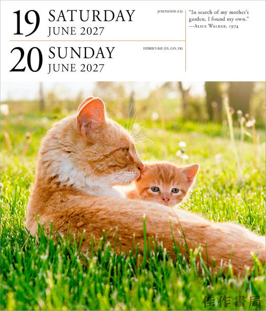 【2027年日历】Cat Page-A-Day Gallery Calendar 2027: A Delightful Gallery of Cats for Your Desktop / 猫每日画廊 商品图4