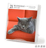 【2027年日历】Cat Page-A-Day Gallery Calendar 2027: A Delightful Gallery of Cats for Your Desktop / 猫每日画廊 商品缩略图2