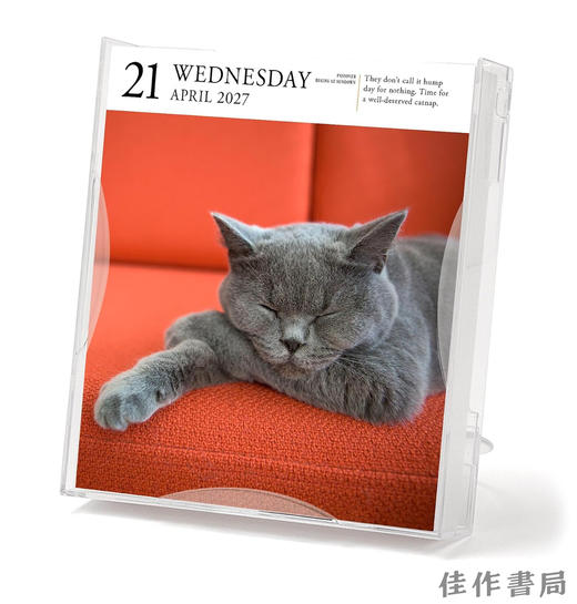 【2027年日历】Cat Page-A-Day Gallery Calendar 2027: A Delightful Gallery of Cats for Your Desktop / 猫每日画廊 商品图2