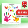 英文原版绘本 See Touch Feel 看 摸 感觉 0-3岁幼儿童英语启蒙认知感知触摸书 早教彩色图画书 英文书 商品缩略图0