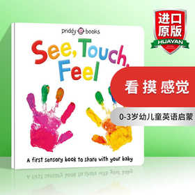 英文原版绘本 See Touch Feel 看 摸 感觉 0-3岁幼儿童英语启蒙认知感知触摸书 早教彩色图画书 英文书