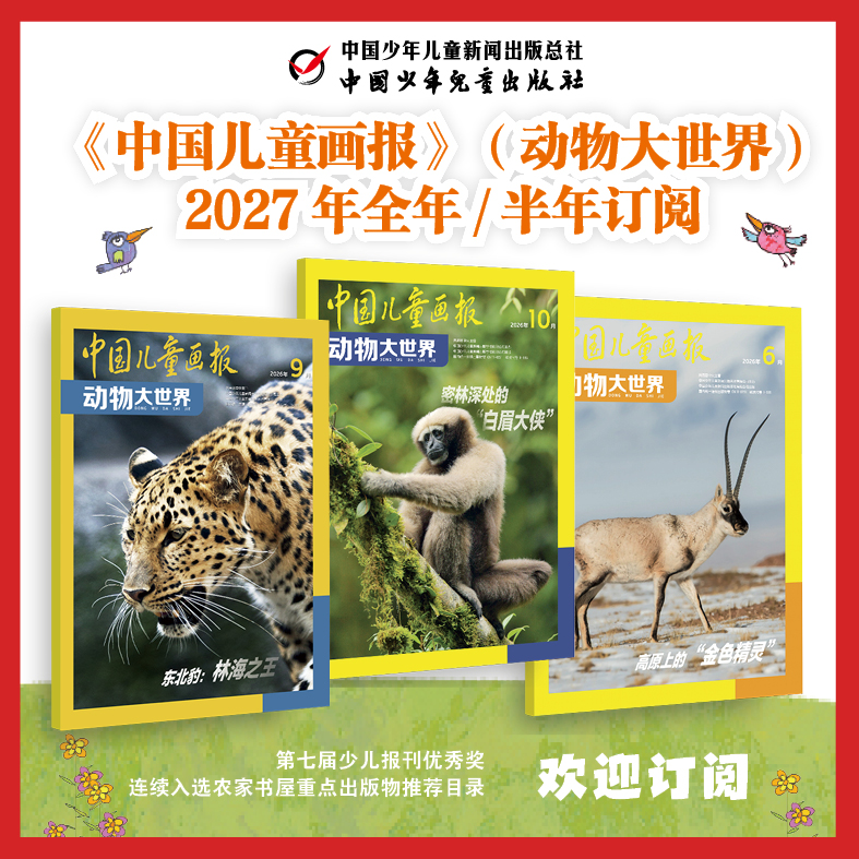 【预售 2026年12月底发货】【2027年订阅】中国儿童画报 动物大世界 全年或半年任选