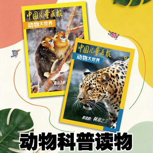 【预售 2026年12月底发货】【2027年订阅】中国儿童画报 动物大世界 全年或半年任选 商品图1