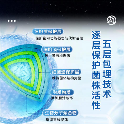 【10.20左右发货】【专业实验室调配】神飞航天 航天菌宝 益生元益生菌 3克*10条/盒 商品图4