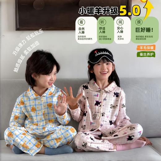 【3-5天左右发货】【39.9元/件起】2026新款儿童翻领羊毛蚕丝家居服套装秋冬季节男童女童 商品图2