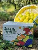 云南哀牢山冰糖橙 | 咬一口冰甜沁心，独特柠檬香，清爽直达心底 商品缩略图12
