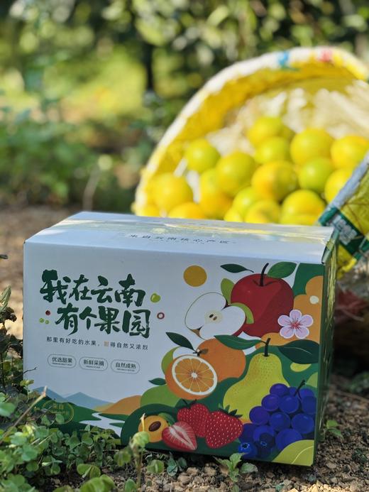 云南哀牢山冰糖橙 | 咬一口冰甜沁心，独特柠檬香，清爽直达心底 商品图12