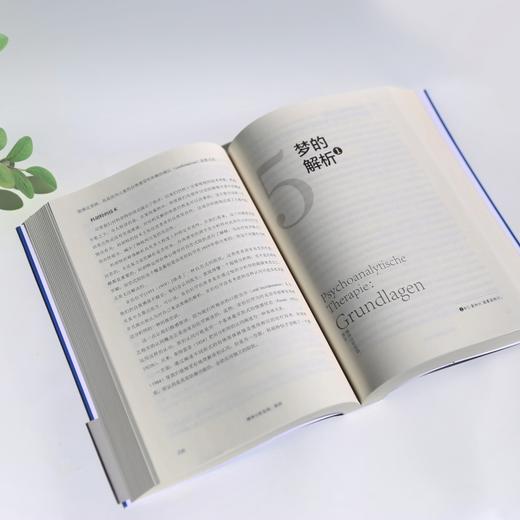 精神分析实践 : 原则 商品图5