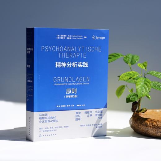 精神分析实践 : 原则 商品图3