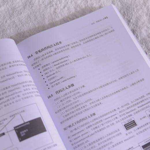 恶意软件分析与检测工程 逆向工程 样本分析 *运营 红蓝对抗 静态分析 动态分析 沙箱 商品图4