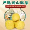 【老人孕妇幼儿皆可食用】陶柒柒 金耳橙梨盏鲜炖整颗砀山梨 260g/罐 商品缩略图2