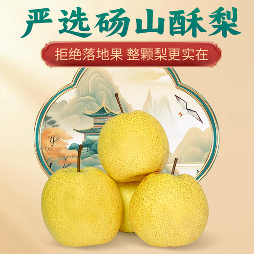 【老人孕妇幼儿皆可食用】陶柒柒 金耳橙梨盏鲜炖整颗砀山梨 260g/罐 商品图2