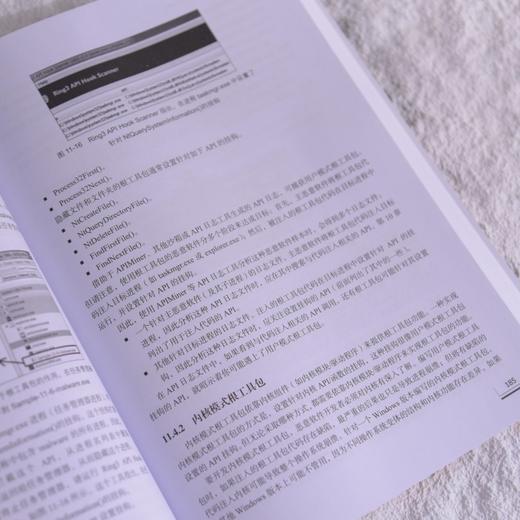 恶意软件分析与检测工程 逆向工程 样本分析 *运营 红蓝对抗 静态分析 动态分析 沙箱 商品图3