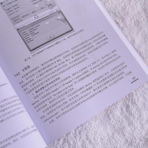 恶意软件分析与检测工程 逆向工程 样本分析 *运营 红蓝对抗 静态分析 动态分析 沙箱 商品图5