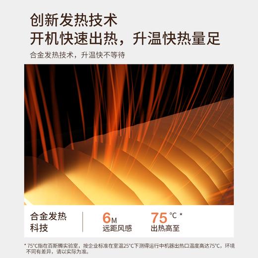 Bestherm“烈日系列”速热火焰电暖炉F1 商品图6