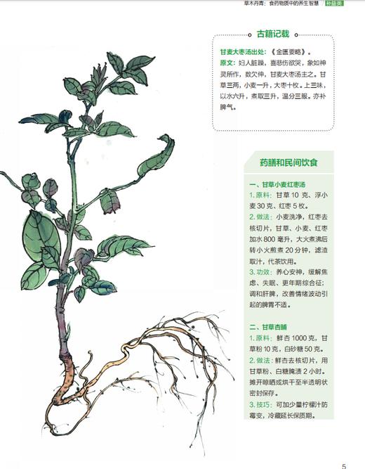 草木丹青：食药物质中的养生智慧 冯磊 编 9787030857699 商品图11