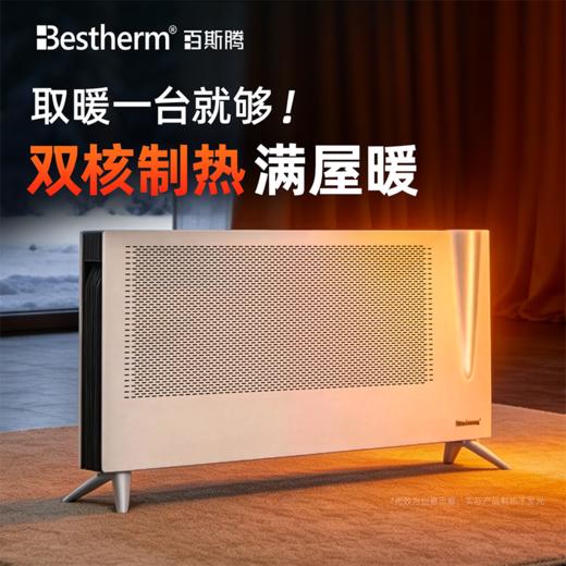 Bestherm“火炬”系列双制热双散热抗菌家庭主供暖广域电暖器H1&H2 商品图0