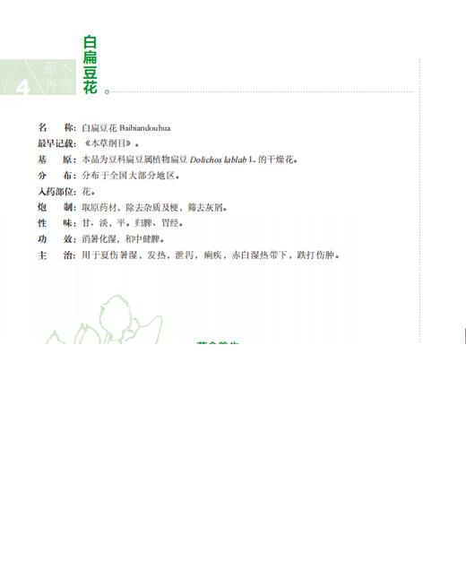 草木丹青：食药物质中的养生智慧 冯磊 编 9787030857699 商品图14