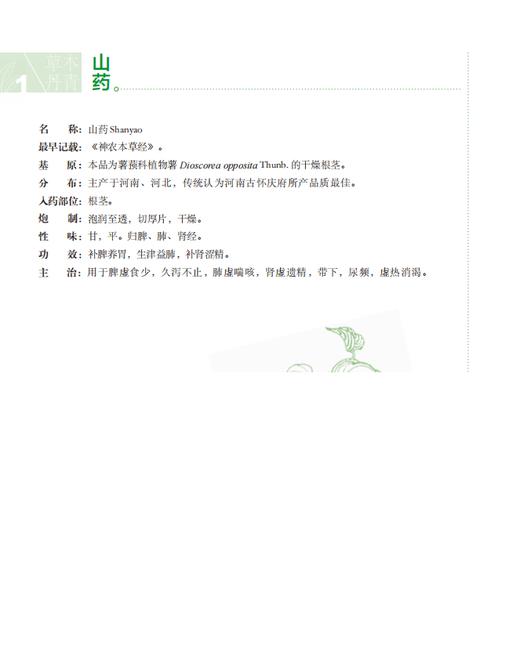 草木丹青：食药物质中的养生智慧 冯磊 编 9787030857699 商品图8