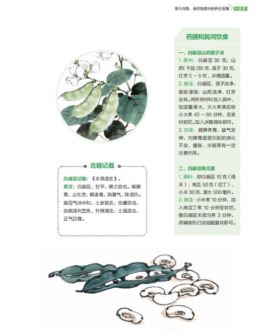 草木丹青：食药物质中的养生智慧 冯磊 编 9787030857699 商品图13
