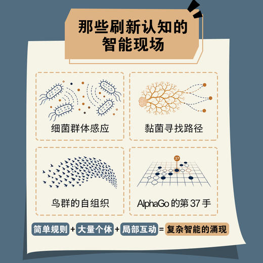 智能演化：生命、机器与宇宙 从微生物到*智能的跨学科探索从自然智能到人机共生的未来 商品图4