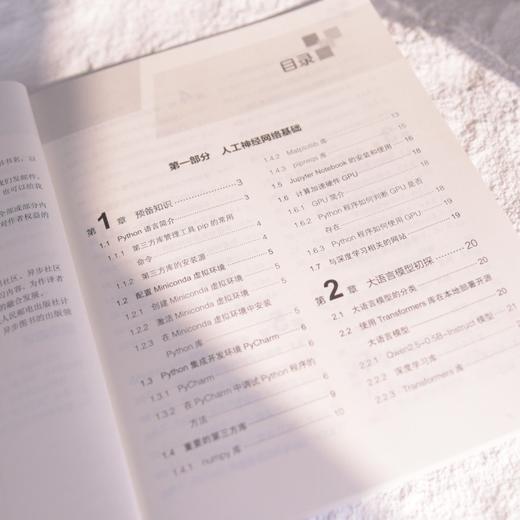 深入理解大语言模型：原理、实现和应用 RAG Agent FAISS Transformer Python 入门书 商品图2