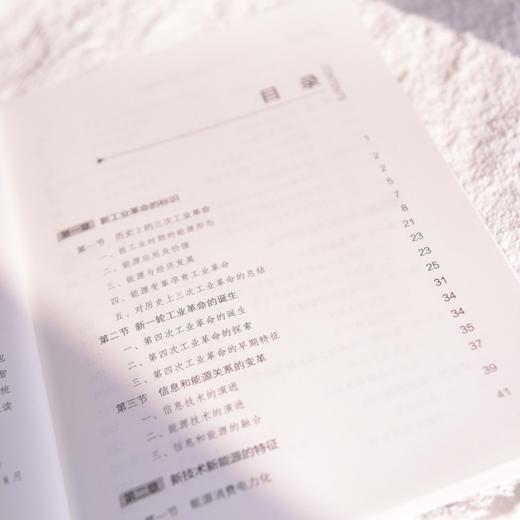 能源电子 从第四次工业革命到信息流与能量流的融合 商品图1