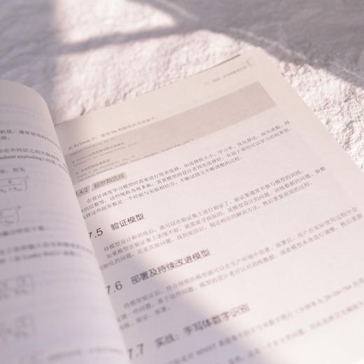 深入理解大语言模型：原理、实现和应用 RAG Agent FAISS Transformer Python 入门书 商品图3