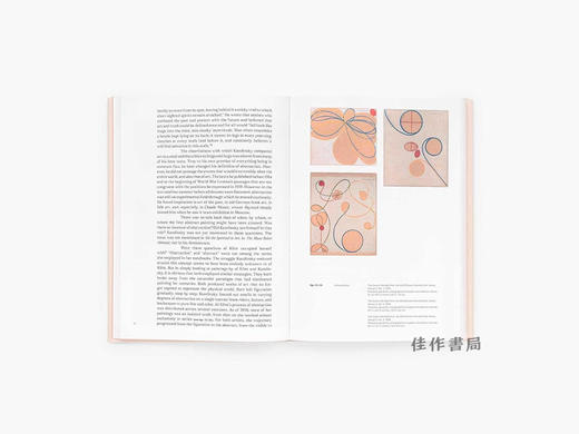 【现货】Hilma af Klint and Wassily Kandinsky: Dreams of the Future / 希尔玛·阿夫·克林特与瓦西里·康定斯基：未来的梦想 商品图2