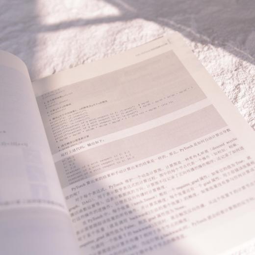 深入理解大语言模型：原理、实现和应用 RAG Agent FAISS Transformer Python 入门书 商品图4