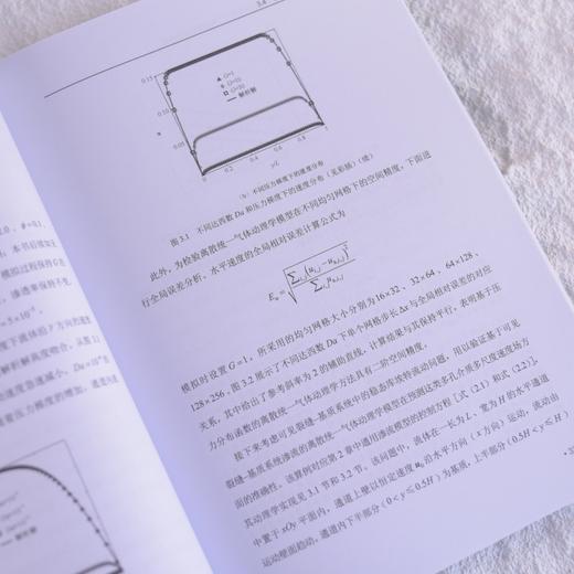 多孔介质多尺度渗流的动理学方法建模与应用 流体力学 气体动理学方法 多孔介质流动 数值模拟 商品图5