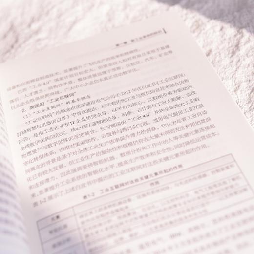 能源电子 从第四次工业革命到信息流与能量流的融合 商品图3