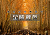 周末2天｜金陵秋色｜金陵滁州秋行の南京-梧桐大道-栖霞山-池杉湖-琅琊山-醉翁亭-牛首山 商品缩略图0