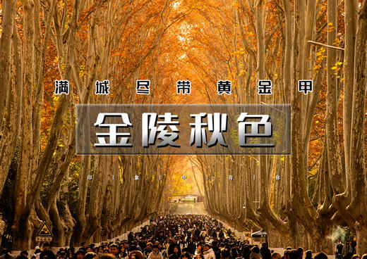 周末2天｜金陵秋色｜金陵滁州秋行の南京-梧桐大道-栖霞山-池杉湖-琅琊山-醉翁亭-牛首山 商品图0