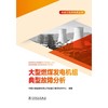 大型燃煤发电机组典型故障分析 商品缩略图1