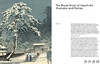 【现货】Kawase Hasui: Capturing the Soul of Japan / 川濑巴水：捕捉日本灵魂的风景版画 商品缩略图1