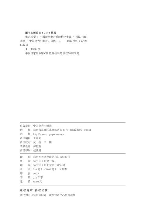 电力转型——中国新型电力系统构建实践 商品图3