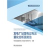 发电厂站雷电过电压量化分析及防治 商品缩略图1