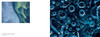 【现货】Jon McCormack: Patterns: Art of the Natural World / 乔恩·麦科马克：图案：自然世界的艺术 商品缩略图4