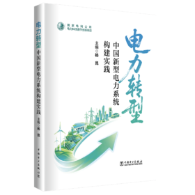 电力转型——中国新型电力系统构建实践