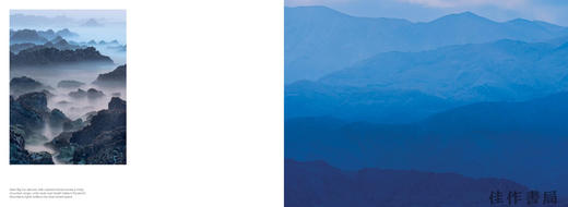 【现货】Jon McCormack: Patterns: Art of the Natural World / 乔恩·麦科马克：图案：自然世界的艺术 商品图1