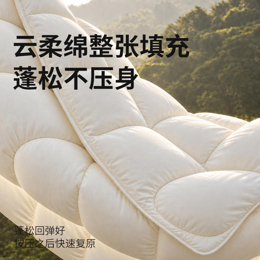 【巨软巨弹巨暖和！仿佛掉进云朵里】emo一默 雪绒云柔抗菌被 如雪蓬松 轻不压身 被窝恒温锁暖 A类母婴级材质 商品图2