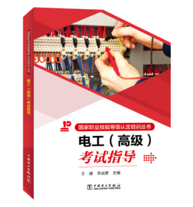 国家职业技能等级认定培训丛书   电工  （高级）考试指导